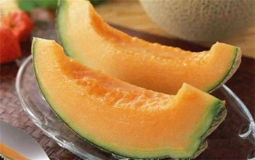 小鳄鱼吃哈密瓜的视频,哈密瓜盛宴萌态十足