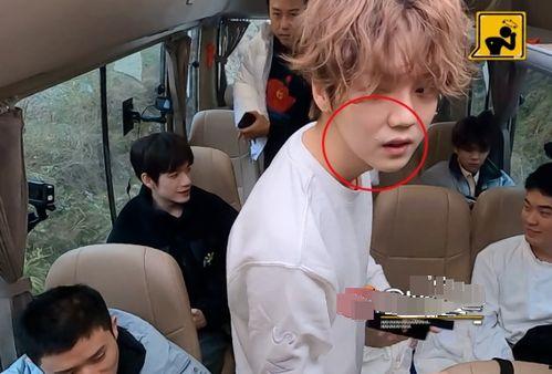 现实吃瓜视频情侣,吃瓜视频里的甜蜜情侣日常