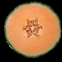 女生在吃哈密瓜的视频,少女品尝哈密瓜的甜美时光