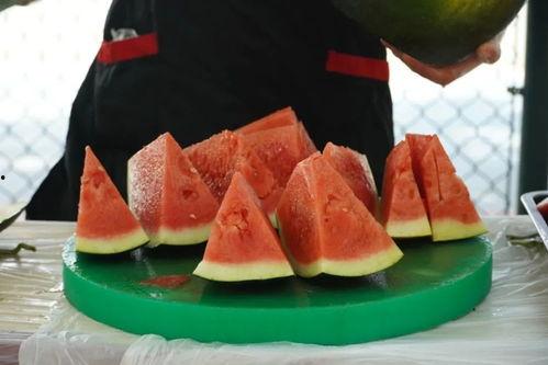 职业吃瓜视频大全,视频大全带你领略吃瓜界的风云变幻