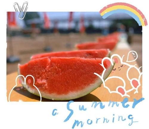 桥圩吃瓜现场直播视频,全民围观的热闹一幕