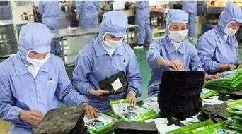 连云港老板吃瓜事件视频,一场网络热议的瓜田风波