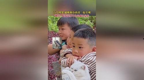 吃瓜瞬间吵架视频大全,热门吵架视频大盘点