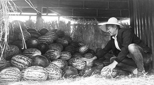 随州吃瓜群众事件视频曝光,视频曝光揭示惊人真相