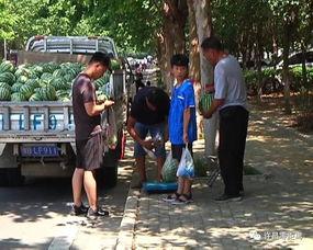 随州吃瓜群众事件视频曝光,视频曝光揭示惊人真相