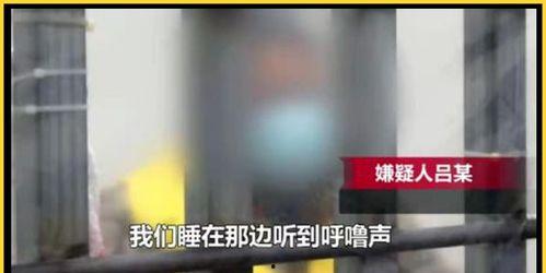 走廊打架吃瓜视频大全,走廊打架吃瓜视频大盘点