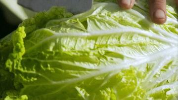 吃绿瓜的视频大全下载,一场视觉盛宴的绿意盎然之旅