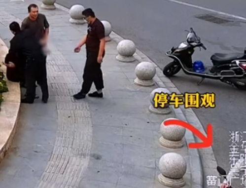 捕捉吃瓜的视频,捕捉那些令人捧腹的吃瓜瞬间