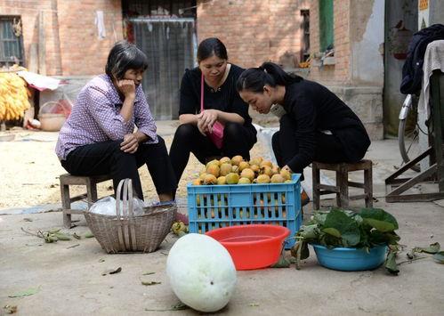 丰县吃瓜事件视频,真相与争议的交织