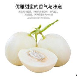利津吃瓜视频,揭秘当地特色美食与风土人情