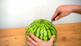 利津吃瓜视频,揭秘当地特色美食与风土人情