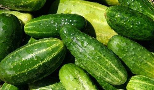 摘瓜吃的做法视频,轻松享受田园美味