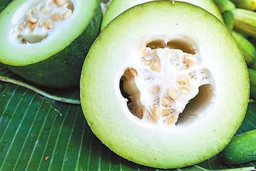 世茂吃瓜视频在哪看,揭秘热门视频观看途径