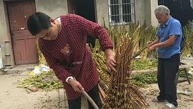 安徽阜阳吃瓜视频,一场民间美食盛宴的视觉盛宴