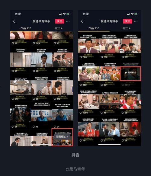 吃瓜会员餐厅制作视频,一场视觉与味蕾的双重盛宴