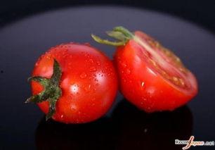 西红柿吃瓜视频,一场视觉与味蕾的双重盛宴