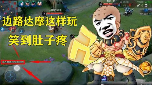 吃瓜盟主小仙人视频在线观看,视频在线观看带你领略瓜界传奇