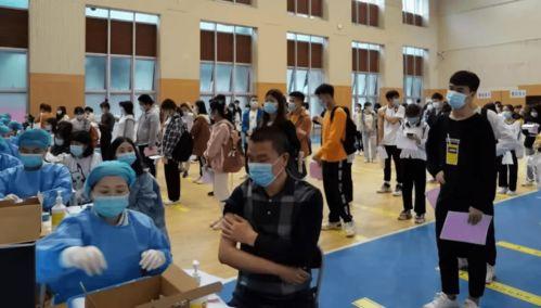 东营吃瓜视频最新消息,揭秘最新热点事件幕后真相