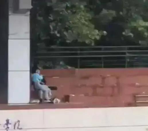 学校打架吃瓜视频大全集,揭秘校园打架事件视频大全集