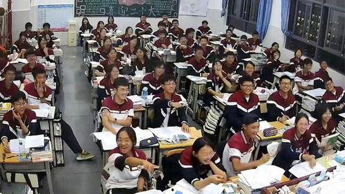 学校打架吃瓜视频大全集,揭秘校园打架事件视频大全集