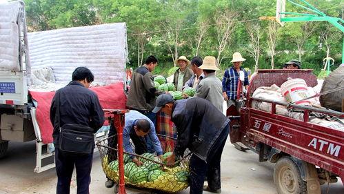 石佛寺镇吃瓜事件视频,一场引发热议的乡村奇观