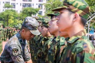 军训表演吃瓜视频大全下载,精彩瞬间一网打尽