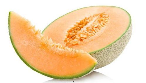 鸟会吃哈密瓜吗视频讲解,哈密瓜在鸟儿餐桌上的地位