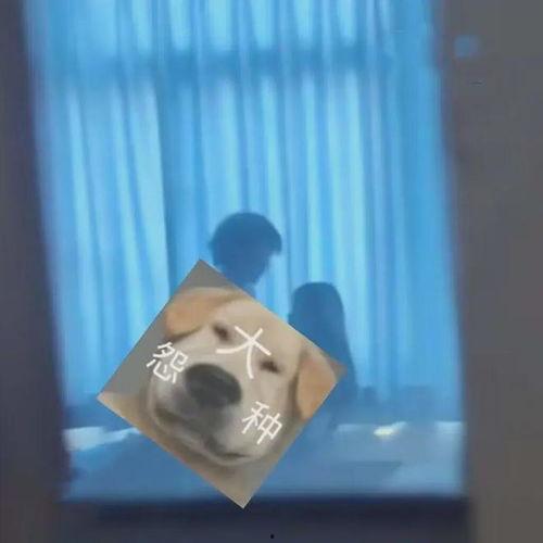 情侣吃瓜故事视频大全集,情侣吃瓜故事视频大全集回顾