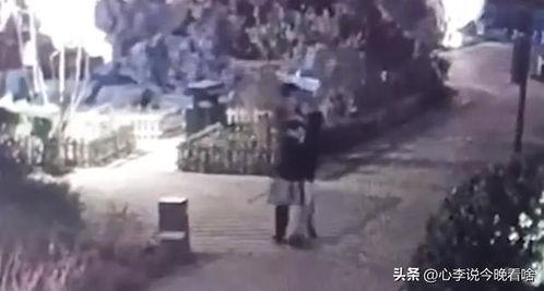 沈飞吃瓜完整视频大全集,揭秘娱乐圈幕后故事大全集