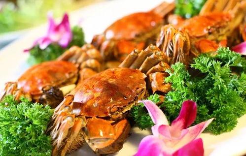 沈飞吃瓜完整视频大全集,揭秘娱乐圈幕后故事大全集