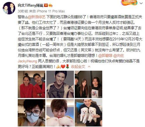 向太的吃瓜视频在哪看,观看途径大公开