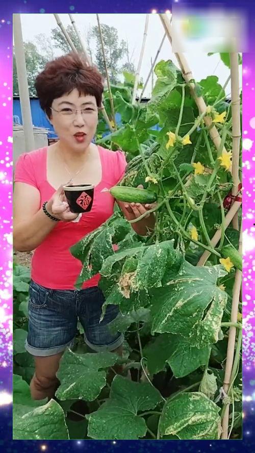 三姐吃瓜视频大全