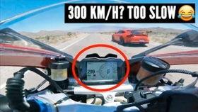 兰博吃瓜视频大全最新版,最新版带你领略娱乐圈风云变幻