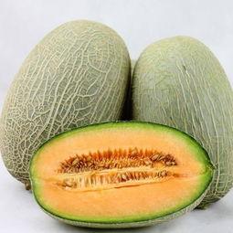 兄妹吃哈密瓜大全视频,甜蜜瞬间大盘点