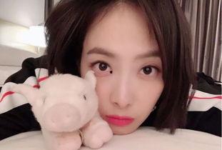 宋茜粉丝吃瓜视频大全,揭秘娱乐圈幕后故事