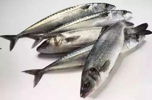 拿瓜当金枪鱼吃的视频,揭秘拿瓜当金枪鱼的真实滋味