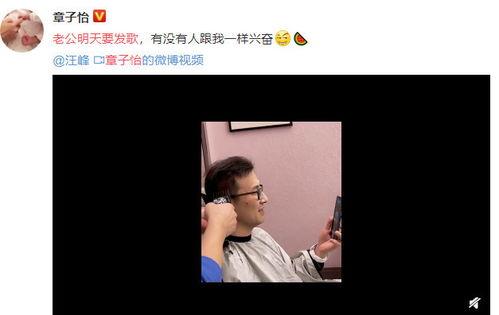发吃瓜的视频叫什么,揭秘“吃瓜群众”背后的热门视频现象