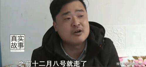 刘辉吃瓜向导视频全集,揭秘娱乐圈幕后真相全记录
