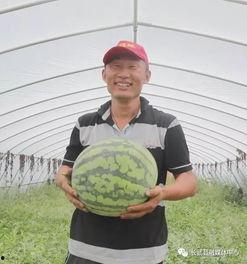 热点视频吃瓜群众,吃瓜群众眼中的娱乐圈风云