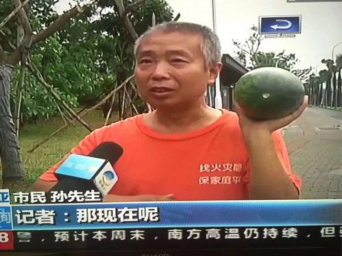 热点视频吃瓜群众,吃瓜群众眼中的娱乐圈风云