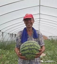 热点视频吃瓜群众,吃瓜群众眼中的娱乐圈风云