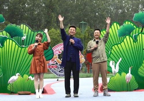 陇南最近吃瓜事件视频,一场网络热议背后的真相揭秘