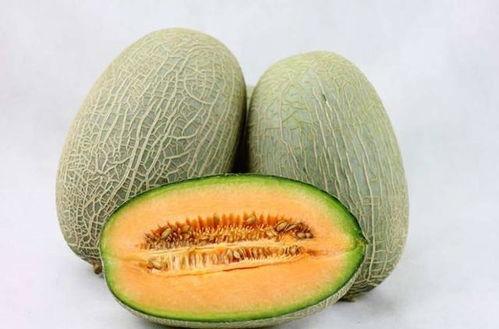 琦宝夫妇吃哈密瓜视频在线观看,共享哈密瓜美味瞬间