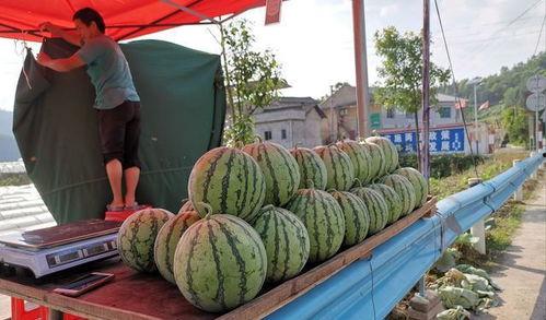 安溪妇幼吃瓜事件视频,一场网络争议的真相揭秘