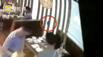 吃瓜拉肚子视频大全集,趣味视频大盘点